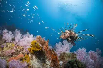 Séjour de luxe entre plages et découvertes – Image 6