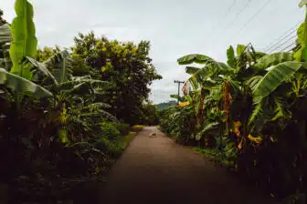 Un séjour d'exception au coeur de la Thaïlande – Image 2