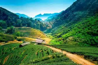 Chiang Mai