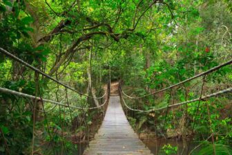 Parc national de Khao Yai