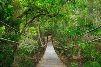 Parc national de Khao Yai