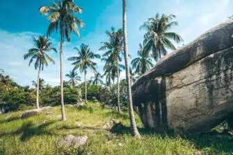 Koh Tao