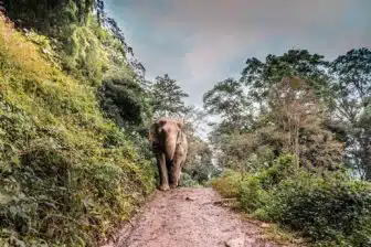 Voyage en Thaïlande en couple