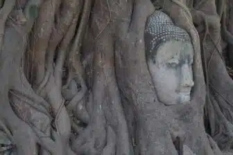 Voyage en Thaïlande en couple – Image 5