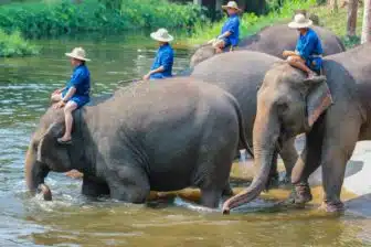 Paysages et diversité de Thaïlande – Image 10