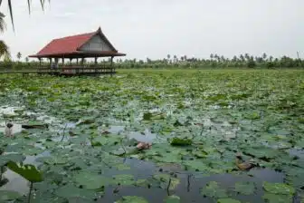 Thaïlande, au cœur des émotions – Image 25