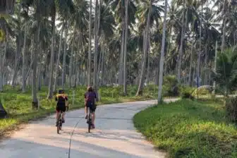 Golfe de Thaïlande authentique à vélo, entre Bangkok et plages secrètes – Image 14