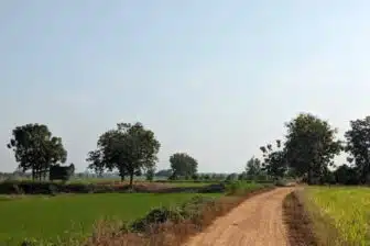 Thaïlande à vélo en douceur, au cœur des plaines royales – Image 4